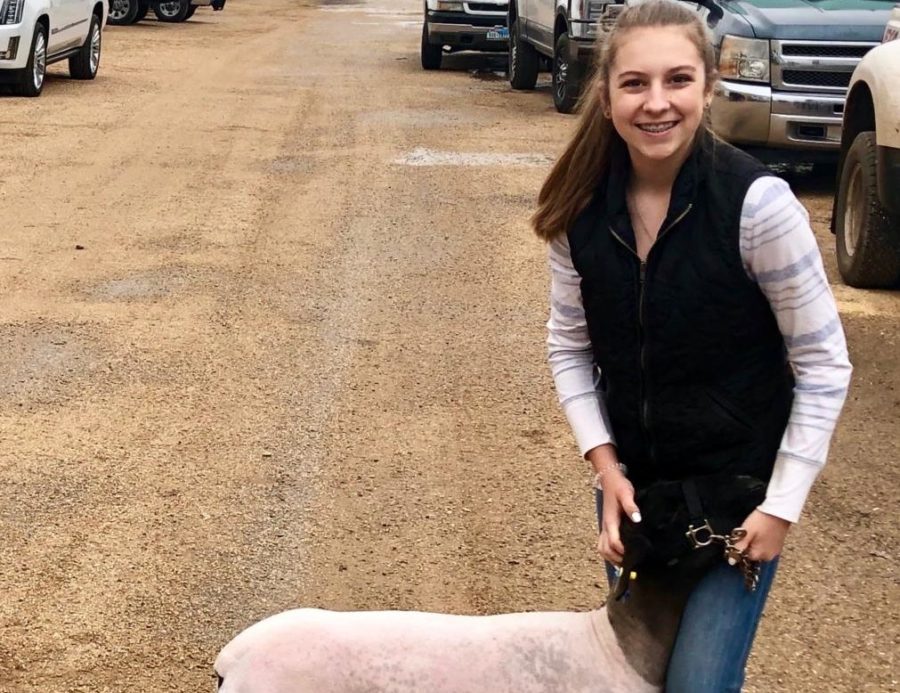 Kirchner Competes at County Stock Show