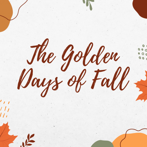 The Golden Days of Fall