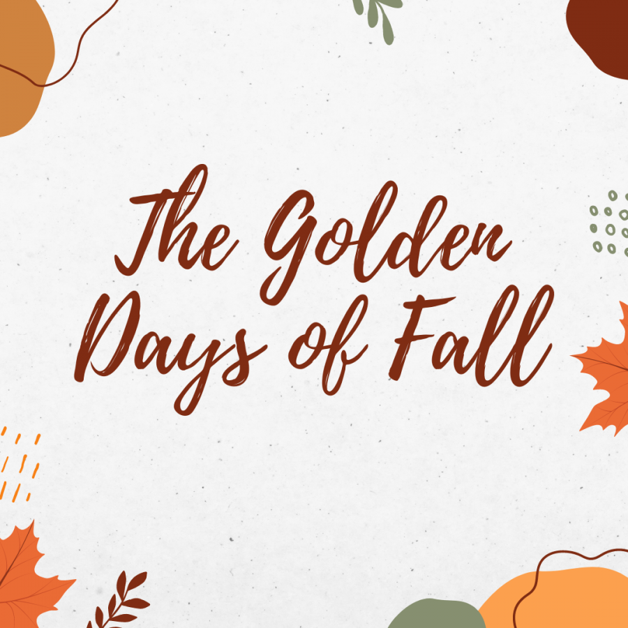 The Golden Days of Fall