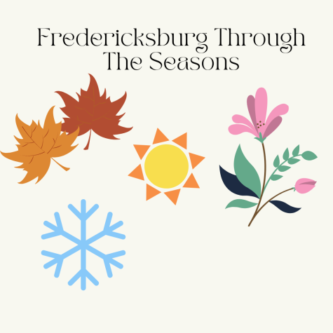 Fredericksburg Through the Seasons