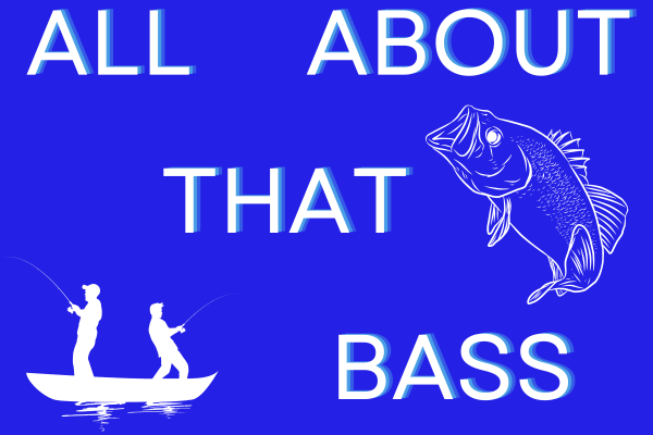 All About that Bass